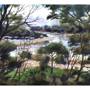 Serene River View