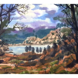 Tranquil Wilderness